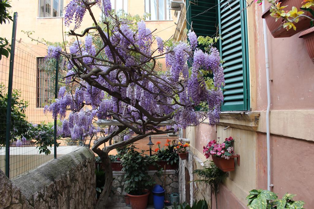 Hotel Pavia, Rome